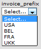 invoice_prefix