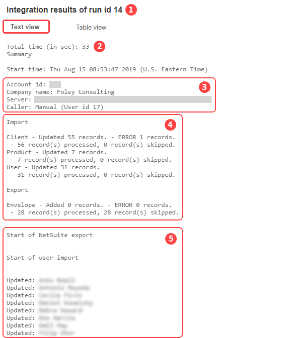 NetSuite Connector integration run log - Text view